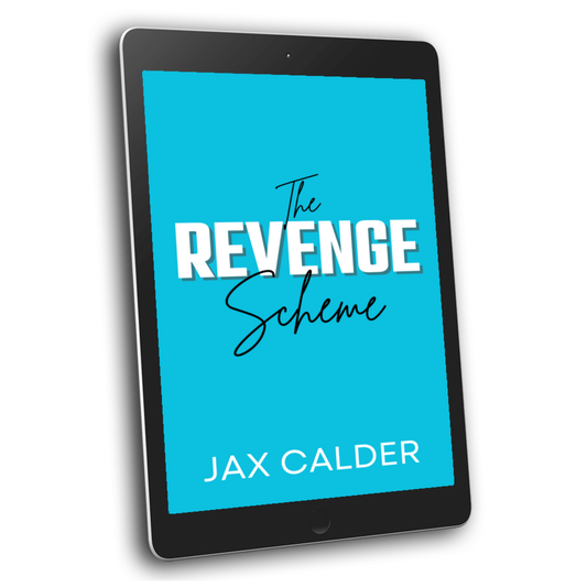 The Revenge Scheme (ebook)
